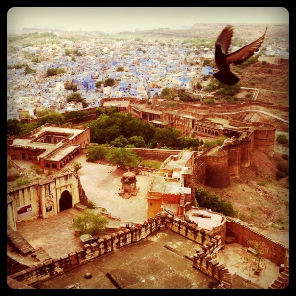 "I took this from the fort in Jodhpur, India, intending for it to just be a landscape of the old blue city — but the bird flying into my frame was perfect, and made this my favorite photo of all the ones I took when I was in India." (Pei Ketron)