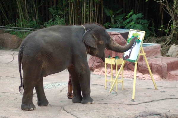 An elephant paints a tree at a zoo in Bangkok, Thailand. Though elephants have to be trained to paint and can often only repeatedly produce one painting, the fact that they can learn to manipulate their trunks with the necessary delicacy and precision is still impressive. (Tim Jackson/Flickr)