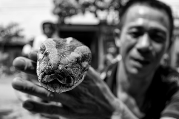 A man holds up a snake to the camera in Vietnam on April 25, 2014. (Alexander Ess/Flickr)