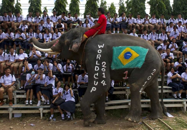 An elephant plays with students during a friendly match in honor of the 2014 FIFA World Cup at an elephant camp in Ayutthaya province, Thailand on June 9, 2014. (Pornchai Kittiwongsakul/AFP/Getty Images)