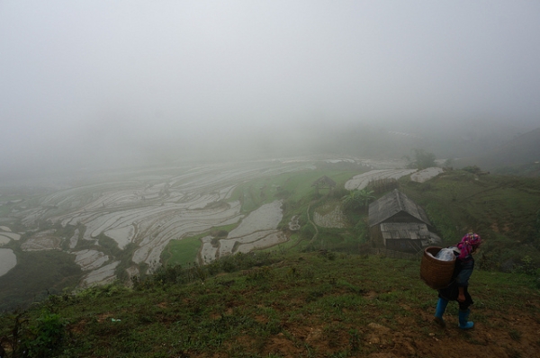 A woman walks along the top of a hill overlooking a fog-shrouded rice paddy in Vietnam on May 6, 2014. (Silvia Foglia/Flickr)
