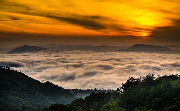 Dense clouds blanket the mountain tops in Hopton, Sri Lanka on November 5, 2014. (uditha wickramanayaka/Flickr)