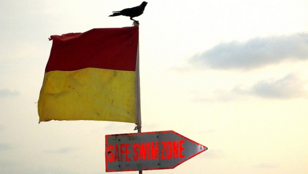 A bird stands on the warning flag on the beach in Goa, India on May 24, 2014. (Rajib Ghosh/Flickr)