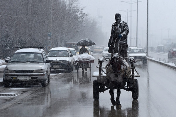 An man rides his horse cart along the street as snow falls in Kabul, Afghanistan on January 25, 2015. (Wakil Kohsar/AFP/Getty Images)