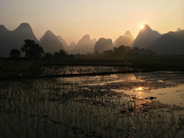 The sun rises over rice fields near the Yulong River in Yangshuo, China. Photograph by Yilang Peng. (Smithsonian.com)