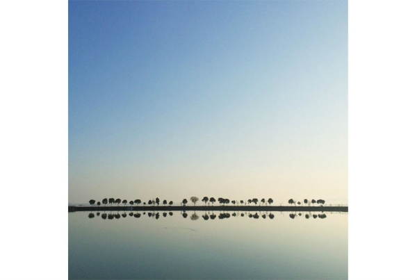 A line of trees grows on a dam near Lake Tai in China. Photograph by Yilang Peng. (Smithsonian.com)
