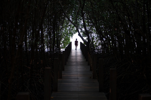 A silhouetted figure strolls through a mangrove trail towards the light in Chanthaburi, Thailand on February 26, 2015. (Thibaud Saintin/Flickr)