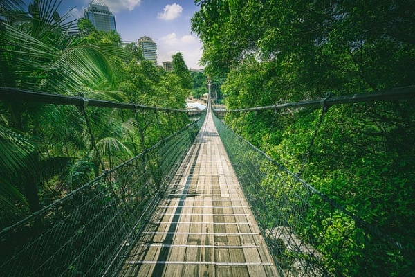 Sunway Lagoon Suspension Bridge surrounded by lush green trees in Kuala Lumpur, Malaysia on July 28, 2015. (Rob M/Flickr)