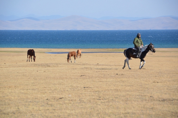 A horse rider gallops across the banks of Song Köl Lake, Kyrgyzstan on September 13, 2015. (Alex Keshavjee/Flickr)