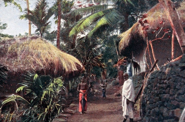 "A village scene, Ceylon." (A.W.A. Plâté & Co./New York Public Library)