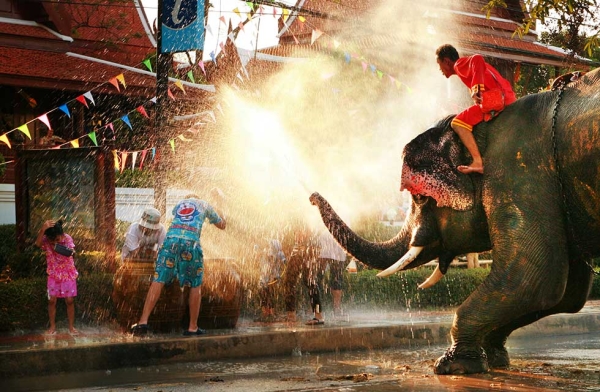 Songkran Festival is also celebrated with Thailand's elephants on April 15, 2011, in Bangkok, Thailand. (duron123/Getty Images)