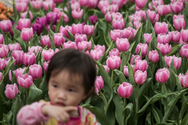 A child stands by flowers during the Hong Kong Flower Show 2015 in Hong Kong on March 20, 2015. (Philippe Lopez/AFP/Getty Images)