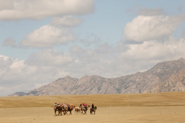 A Kazakh family continue their migration through the Gobi Desert on June 6, 2014. (Xiaolu Chu/Getty Images)