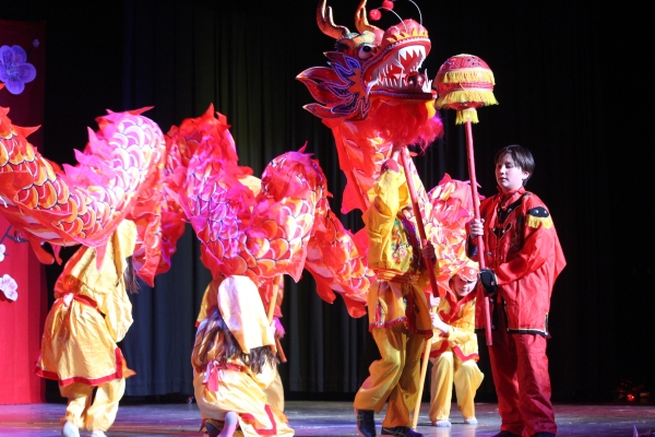 Chinese New Year Festival, Dragon Parade (Callyn Baum)