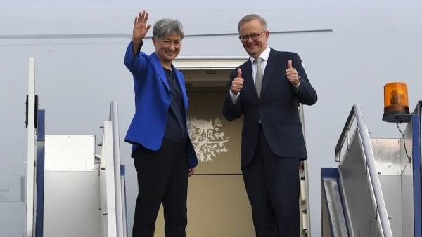 Albo and Wong