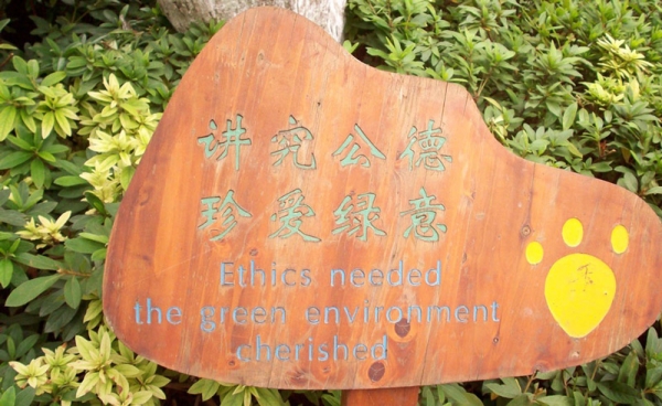Kunming, China: Who said China wasn&apos;t down with going green? (Lea McLellan)