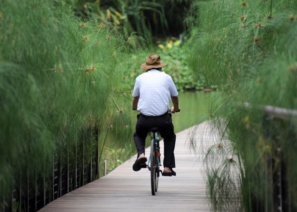 Man bicycles through Singapore's new Garden by the Bay development. (AFP/Roslan Rahman/Getty) 