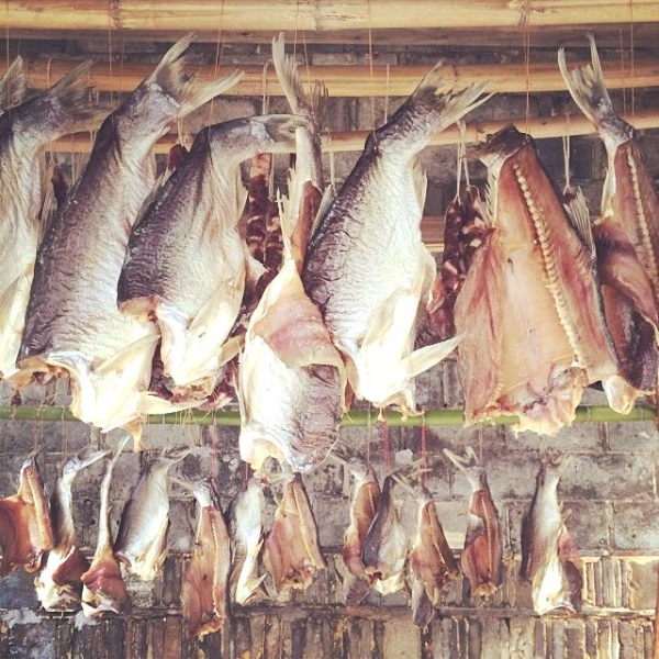 Smoked fish hang in the backyard of the Ou family. (Sun Yunfan)