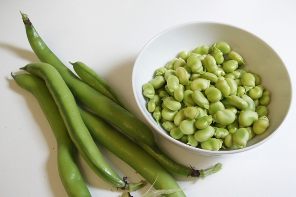 Broad Beans (Photo by janerc/flickr)