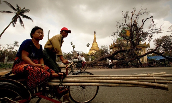People ride a bike past an uprooted tree on May 8, 2008 in downtown Yangon. (Chumsak Kanoknan/Getty Images)