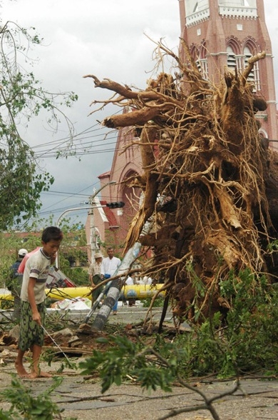 A resident walks near a tree uprooted during cyclone Nargis in Yangon on May 4, 2008. (Khin Maung Win/AFP/Getty Images)