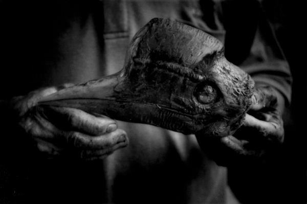A Kelabit man holds the skull of a helmeted hornbill, an endangered species, freshly killed by a Penan hunter.  (James Whitlow Delano)