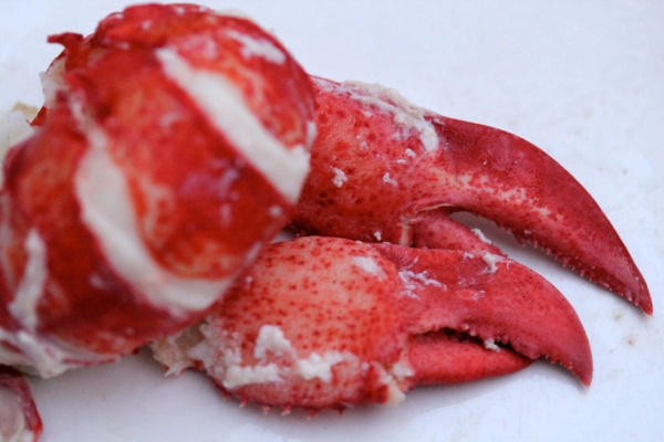 Lobster Meat (Photo by Indirect Heat/flickr)