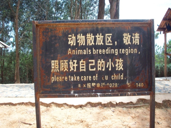 Kunming, China: Special note: The panda section of the breeding region is generally pretty low-key. (Lea McLellan)