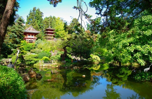 Enjoy green tea and green foliage at the Japanese Tea Garden in Golden Gate Park.