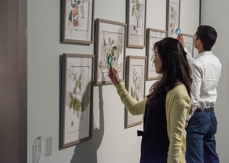 A man and a woman looking at detailed plant illustrations with magnifying glass. 