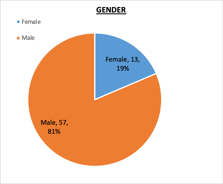 Board of Trustees Gender Pie Chart April 2020 81% Male, 19% Female