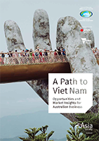 A Path To Viet Nam report cover thumb