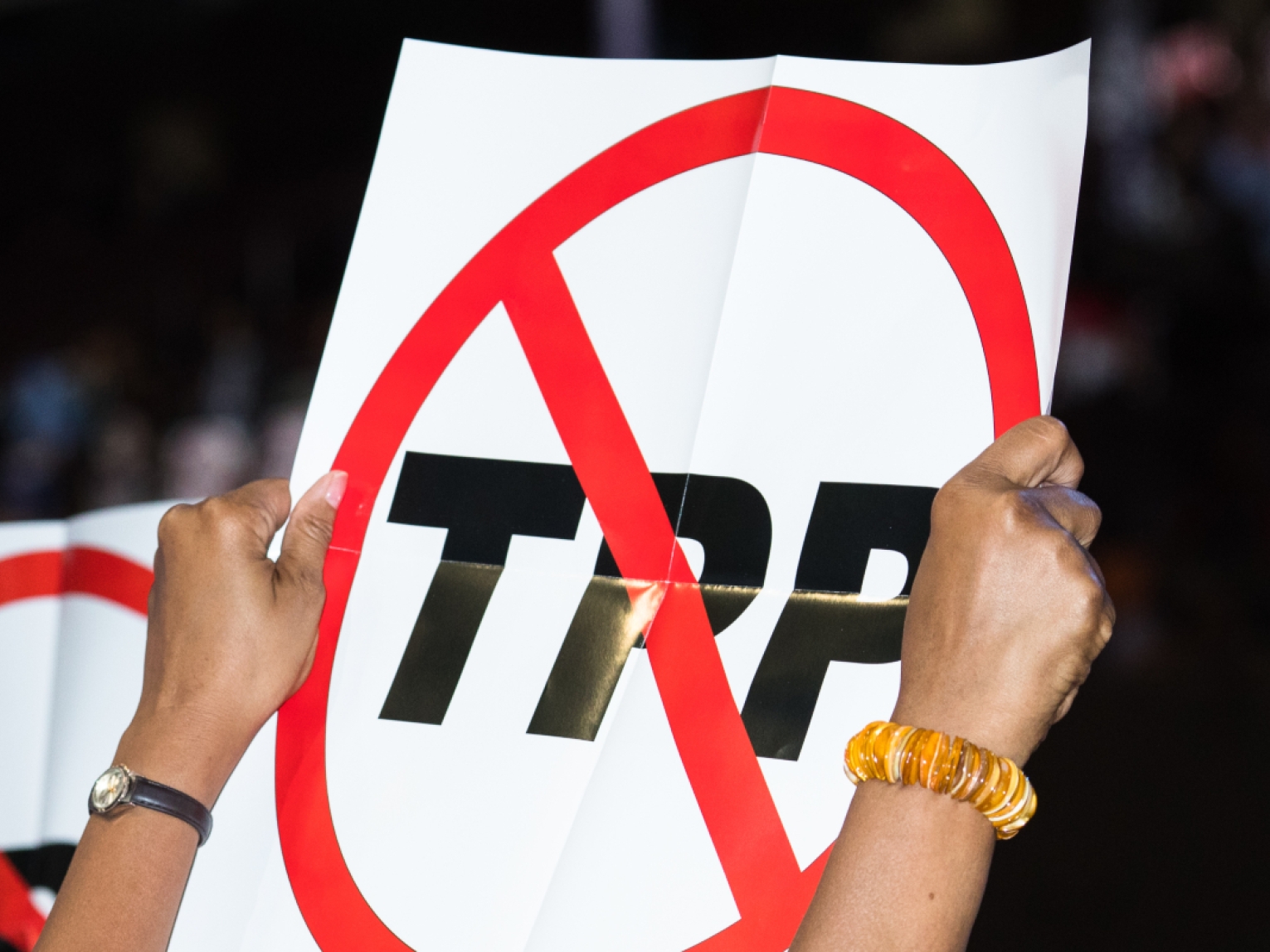 An anti-TPP protester at the 2016 Democratic National Convention