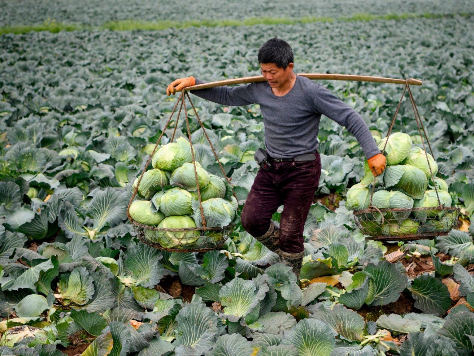 Chinese farmers have largely been left out of the country's economic miracle.